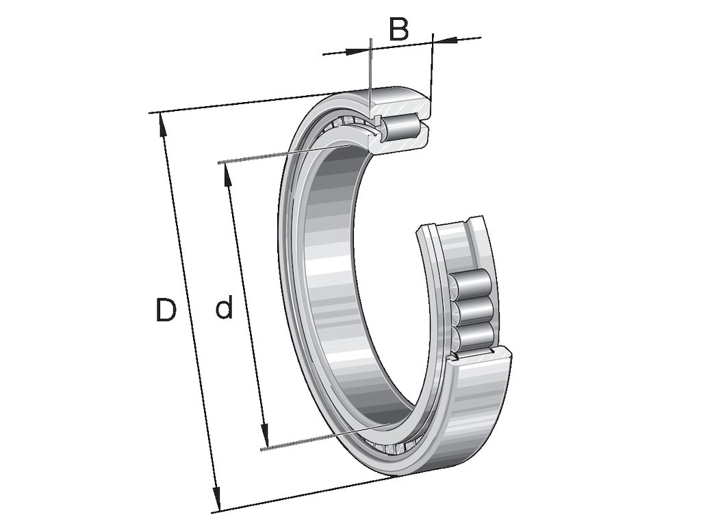 Zylinderrollenlager N1-BR-IT-T-CN-3L